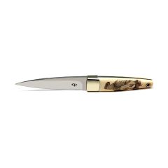 Conrad Pienaar Fixed Blade Elephant Ivory Handle w/Stainless Bolster
