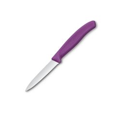 Victorinox Swiss Classic Paring Knife Serrated Purple - 8cm