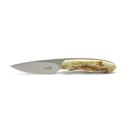Arno Bernard Snr Small Utility w/WartHog Tusk Handle