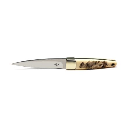 Conrad Pienaar Fixed Blade Elephant Ivory Handle w/Stainless Bolster